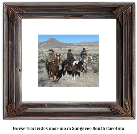 horse trail rides near me in Sangaree, South Carolina